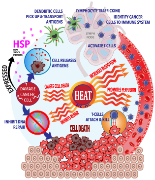 Add new patient to the system